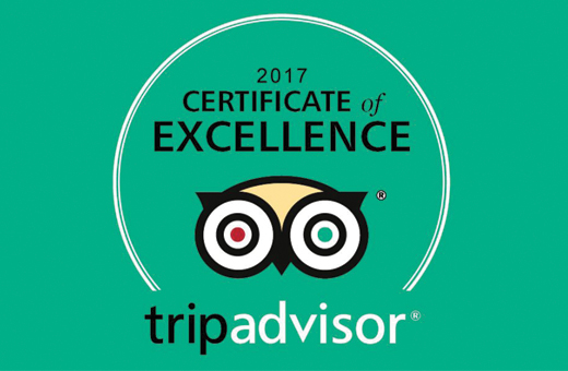 Certificate of Excellence 2017